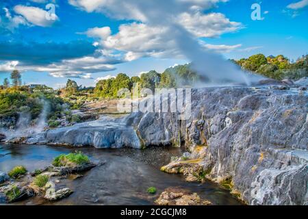 Pohutu Geyser im Te Puia Park, Rotorua, Neuseeland. Stockfoto