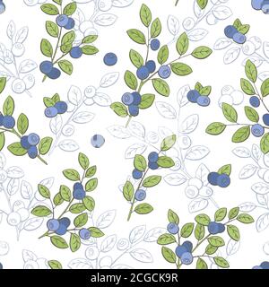 Blueberry Grafik Farbe nahtlose Muster Skizze Illustration Vektor Stock Vektor