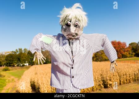 Scarecrow Design-Wettbewerb auf lokaler Farm, um Geld zu sammeln, um die National Alliance auf psychische Erkrankungen zu profitieren. Stockfoto