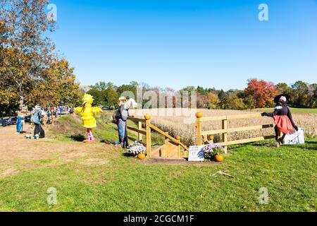 Scarecrow Design-Wettbewerb auf lokaler Farm, um Geld zu sammeln, um die National Alliance auf psychische Erkrankungen zu profitieren. Stockfoto