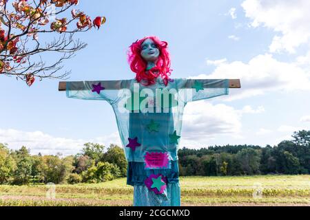 Scarecrow Design-Wettbewerb auf lokaler Farm, um Geld zu sammeln, um die National Alliance auf psychische Erkrankungen zu profitieren. Stockfoto