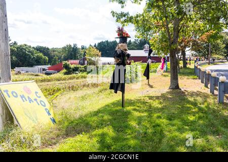 Scarecrow Design-Wettbewerb auf lokaler Farm, um Geld zu sammeln, um die National Alliance auf psychische Erkrankungen zu profitieren. Stockfoto