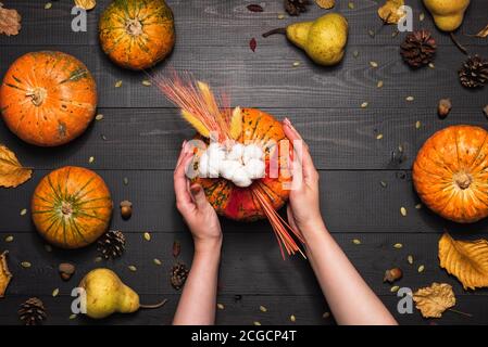 Weibliche Hände mit festlichem Herbstdekor aus Kürbissen Stockfoto