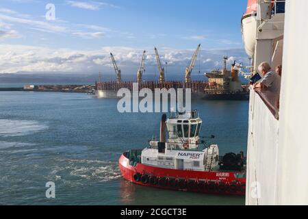 Ein Schlepper schiebt gegen die Seite eines Kreuzfahrtschiffes im Hafen von Napier, Neuseeland. Im Hintergrund lädt ein Frachtschiff mit Baumstämmen auf. 23/2018 Stockfoto