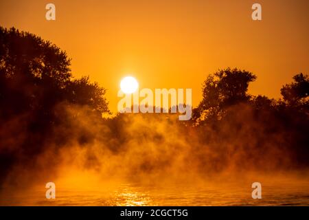 Köln Deutschland rheinfluß Sonnenaufgang mit Nebel und Nebel Am Morgen Stockfoto