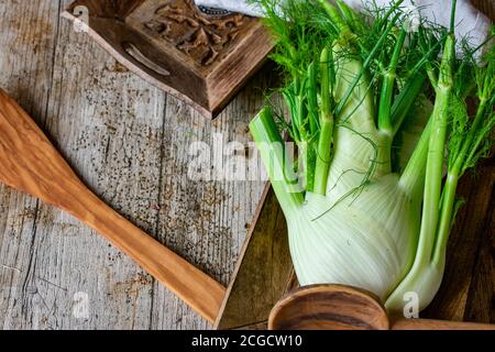 Frischer Fenchel mit Kräutern auf Holzhintergrund Stockfoto