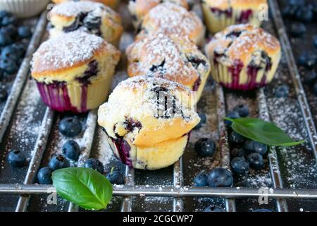 Frisch gebackene Blaubeer-Muffins auf einem Kühlgitter Stockfoto