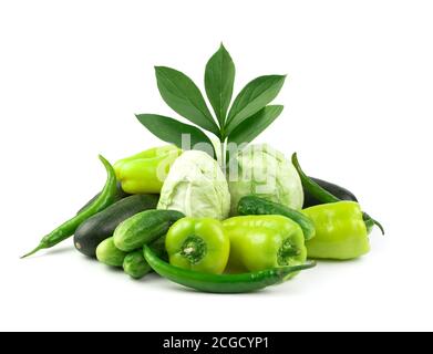 Grünes Gemüse: Kohl, Gurken, Paprika, Zucchini und ein grüner Zweig mit Blättern auf weißem Hintergrund. Stockfoto