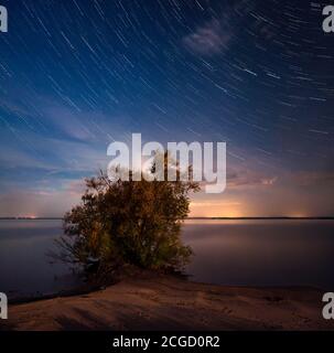 weidenbaum am Strand am Fluss, beleuchtet von Feuerlicht Gegen Sternspuren am Himmel Stockfoto