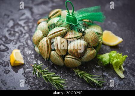 Frische Muschelmuschel mit Kräuterzutaten für Salat / Meeresfrüchte Schalentiere auf Eis gefroren im Restaurant , Emaille venusmuschel , Salzwassermuscheln Stockfoto