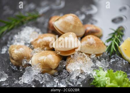 Frische Muschelmuschel mit Kräuterzutaten für Salat / Meeresfrüchte Schalentiere auf Eis gefroren im Restaurant , Emaille venusmuschel , Salzwassermuscheln Stockfoto