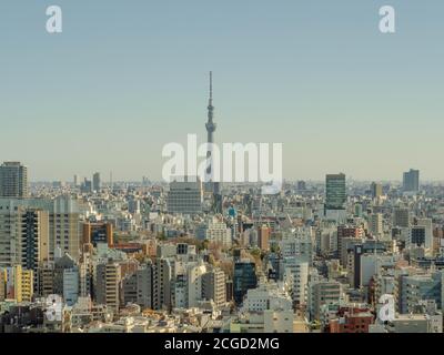 Skyline von Tokio. Tokyo Skytree vom Bunkyo Zentrum, Luftaufnahme der Stadt Stockfoto