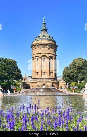 Mannheim, Deutschland - September 2020: Wassertour "Wasserturm", Wahrzeichen der deutschen Stadt Mannheim in einem kleinen öffentlichen Park mit lila Blumen auf sonnigen Stockfoto