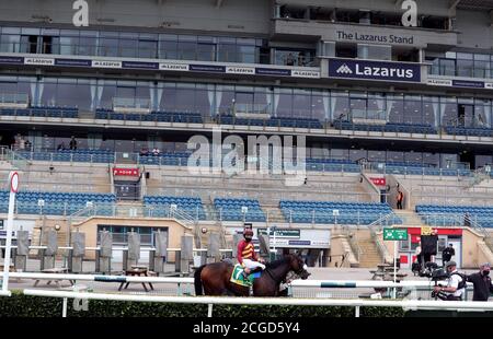 Pista und Jockey William Buick machen ihren Weg an den leeren Ständen vorbei, nachdem sie am zweiten Tag des William Hill St Leger Festivals auf der Doncaster Racecourse die Einsätze der bet365 Park Hill-Stutfohlen gewonnen haben. Stockfoto