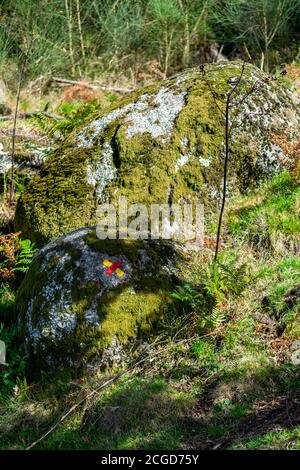 Fussgängerweg Wegweiser in Santiago de Compostela Von Pilgern Stockfoto