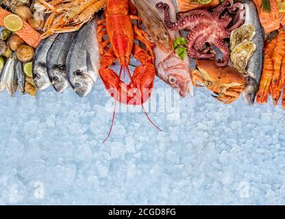 Hummer mit Meeresfrüchten, Krabben, Garnelen, Fisch, Lachssteak, Krake, Auster und anderen Muscheln auf zerkleinertem Eis serviert. Stockfoto