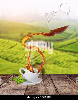 Spritzt schwarzen Tee aus Glas Teekanne in weißen Porzellan Tasse. Grüne Plantage auf dem Hintergrund. Serviert auf Holztisch mit Copyspace Stockfoto