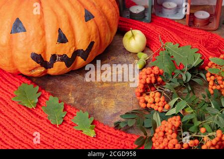 Mockup, Layout mit warmen roten Schal, Eberesche, Kerzenständer, Eichenblätter und ornamentierten halloween-Kürbis auf brauner Oberfläche. Hochwertige Fotos Stockfoto