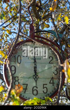 Vintage Uhr Dupont hängt auf Baum mit sechs Stunden Zeit Stockfoto