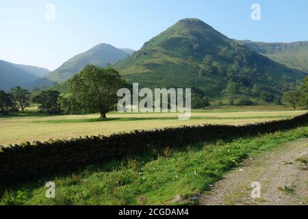 Die Wainwrights 'Middle Dodd' und 'High Hartsop Dodd' from the Track to Dovedale near Hartsop Hall, Lake District National Park, Cumbria, England, UK. Stockfoto