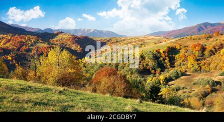 Berglandschaft an einem sonnigen Tag. Schöne ländliche Landschaft im Herbst. Bäume in Herbstfarben. Hellblauer Himmel mit flauschigen Wolken Stockfoto