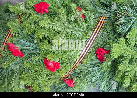 Hintergrund der Nadelbäume Zweige mit Blumen von Nelken und St. George Band für den Victory Day im Zweiten Weltkrieg. Stockfoto