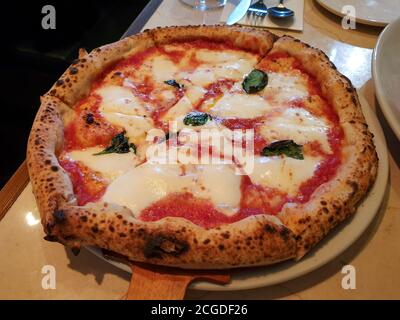 Pizza Margherita, typische neapolitanische Pizza, hergestellt aus Tomaten von San Marzano, Mozzarella-Käse, frischem Basilikum, Salz und nativem Olivenöl extra. Stockfoto