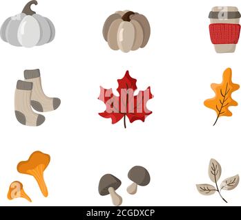 Set von Vektor-handgezeichneten Herbst-Elemente. Herbstblätter, Pilze, Socken, Kürbis und Becher. Herbst Artikel für Thanksgiving Day Design Stock Vektor