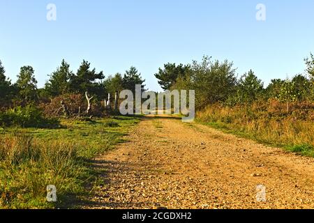 Schotterbahn bei Stoke Common Stockfoto