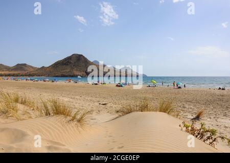 Strand von Los Genoveses, feiner Sand und natürliche Dünen in Cabo de Gata, Almeria, Spanien Stockfoto