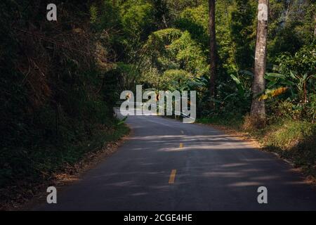 Sommerwaldstraße in Asien ist die Oberfläche asphaltischer Beton. Auf beiden Seiten der Straße ist voller Wälder. Stockfoto