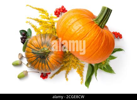 Herbstkomposition. Frische Kürbisse, Goldrute, Bergasche, Eichel und schwarze Apfelbeere isoliert auf weißem Hintergrund. Blick von oben Stockfoto