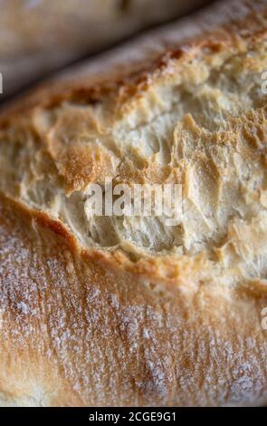 Frisch gebackenes knuspriges weißes Baguette Stockfoto