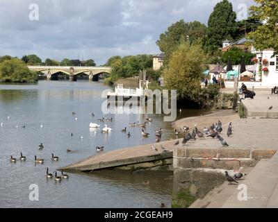 Richmond on Thames, Surrey, London, England Stockfoto
