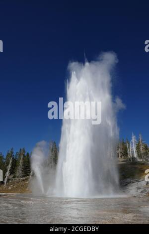 Vent-Turban-Grand Geyser im Upper Geyser Basin im Yellowstone National Park in Yellowstone, Wyoming Stockfoto