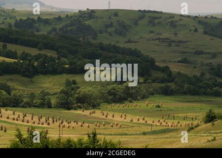 Sommerlandschaft in Maramures, Rumänien. Traditionelle Heuhaufen in einem Tal. Stockfoto