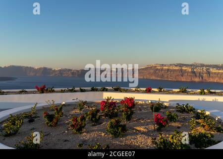 Sonnenuntergang über dem Meer. akrotiri, santorini, Griechenland. Rosa Bougainvillea im Vordergrund Stockfoto