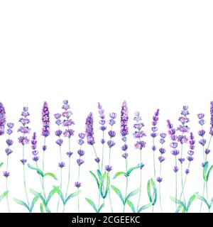 Lavendel Blumen, Blätter und Zweige Aquarell nahtlose Muster auf weißem Hintergrund. Aquarell handgezeichnete botanische Textur. Druck für Textil, wa Stockfoto