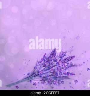 Aquarell Lavendel Bouquet. Lavendelblüten, Aquarell-Spritzer auf lila quadratischen Hintergrund mit Bokeh-Effekt. Lila handgezeichnete botanische illustre Stockfoto