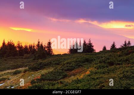 Unglaublicher Sonnenaufgang. Erstaunlicher Herbstmorgen. Landschaft mit hohen Bergen. Himmel mit Wolken. Natürliche Landschaft. Wald mit Kiefern. Der Rasen mit gree Stockfoto