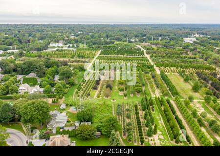 Luftaufnahme von Whitmore's Nursery, East Hampton, NY Stockfoto