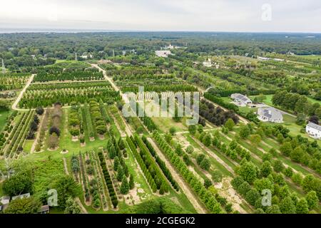 Luftaufnahme von Whitmore's Nursery, East Hampton, NY Stockfoto