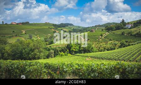Langhe Weinberge Panorama, in der Nähe von Barolo, UNESCO-Stätte, Piemont, Norditalien Europa Stockfoto