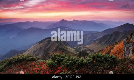 Herbstlandschaft. Wunderschöner Sonnenuntergang, wolkiger Himmel und farbenprächtiger Horizont. Panoramablick. Berglandschaft. Nebliger Morgen. Natürliche Landschaft. Das Gesetz Stockfoto