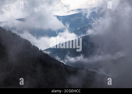 Erstaunlicher nebliger Herbsttag. Landschaft mit hohen Bergen. Wald der Pinien. Der frühe Morgennebel. Touristenort. Natürliche Landschaft. Freie sp Stockfoto