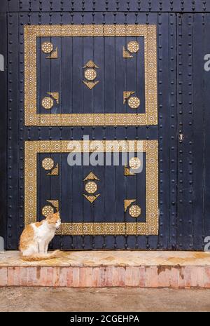 Eine orange-weiße Katze sitzt vor einer detailreichen, gemusterten Wand in Essaoiura, Marokko Stockfoto