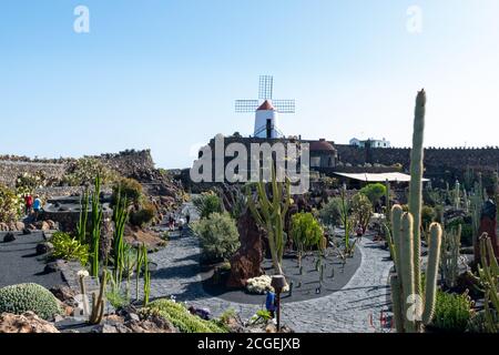 Schöne Aussicht auf Jardin de Cactus auf Lanzarote, kanarische Inseln, Spanien Stockfoto