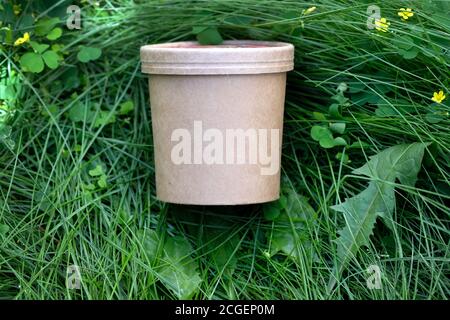 Papiertasse mit Deckel. Braunes Glas auf dem Gras Draufsicht. Papierprodukte, Einweggeschirr. Stockfoto