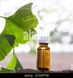 Ginkgo biloba GROSSE Blätter und Medikamentenflaschen auf Holzgrund. Geschwindigkeit kopieren. Stockfoto