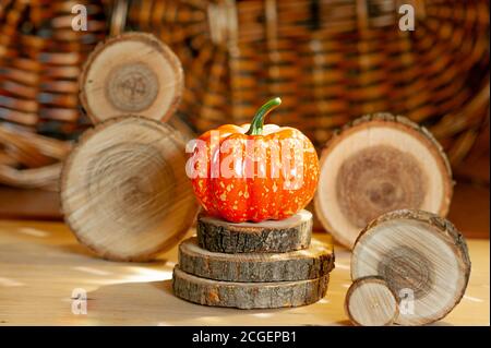 Orange schöner Kürbis auf Holzkreispodium in hellem hartem Licht, Stücke von natürlichem Holz um, Korbwand auf dem Hintergrund Stockfoto